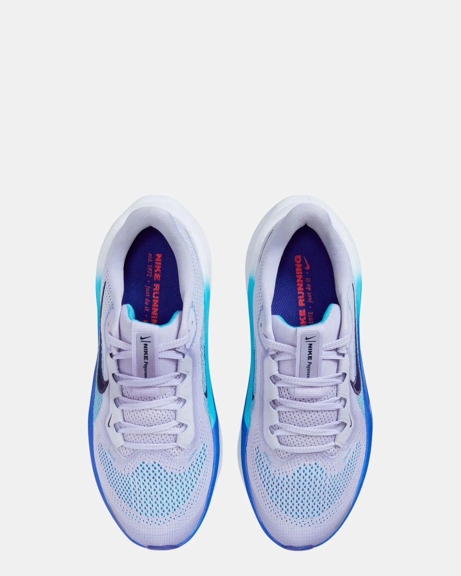 Air Zoom Pegasus 41 Grade School Ghost/Blue Void/Football Grey