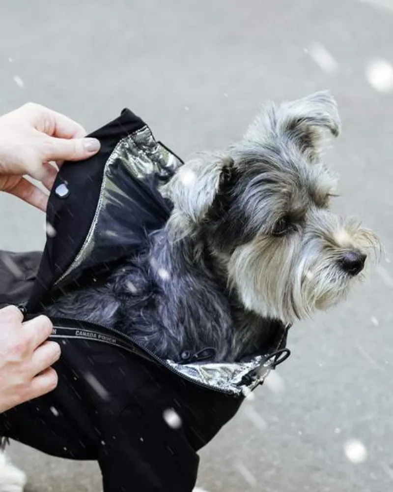 Winter Dog Snowsuit In Black (FINAL SALE)